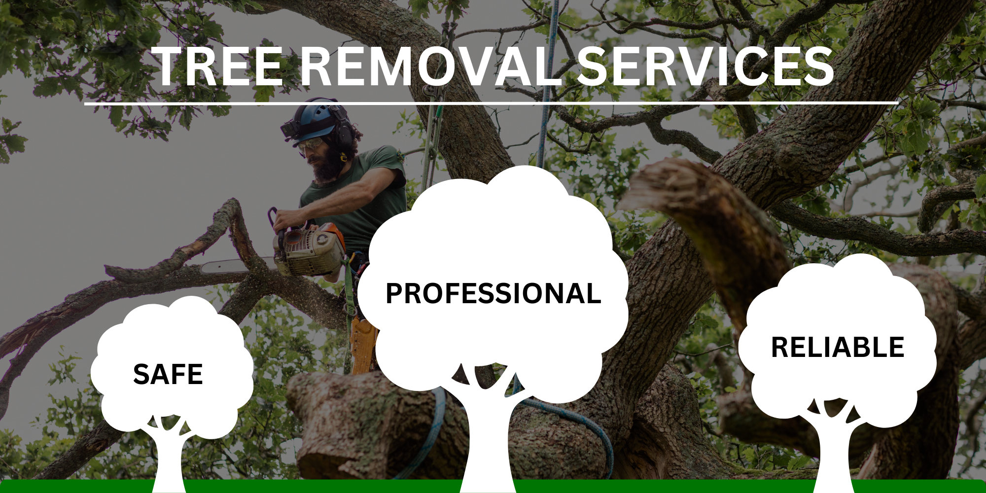 Tree Removal (1)